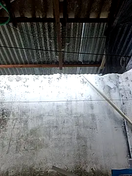      sams online show from 03-11-26, 08:47