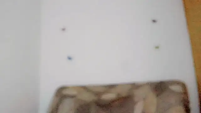 TatiGil online show from 04-10-26, 08:49