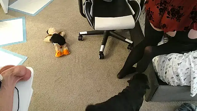 Snapshot of tan4868 chatting on 11-18-25, 01:21 tan4868 online show from 11-18-25, 01:21