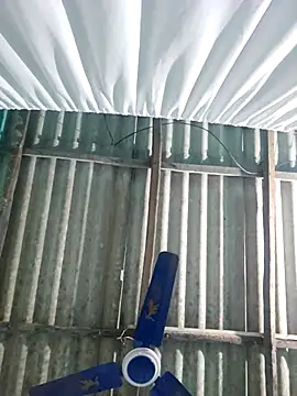 hotbaby 5 online show from 11-22-25, 06:34