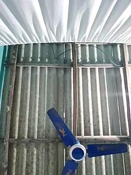 hotbaby 5 online show from 11-26-25, 01:11