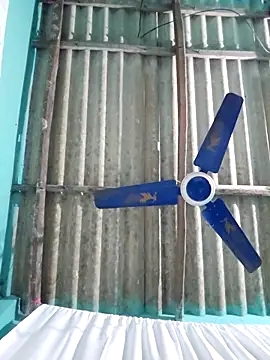 hotbaby 5 online show from 11-16-25, 05:12