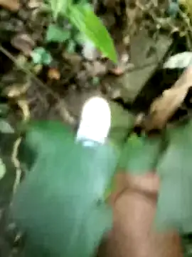 dpkpaksudda online show from 09-23-25, 05:14