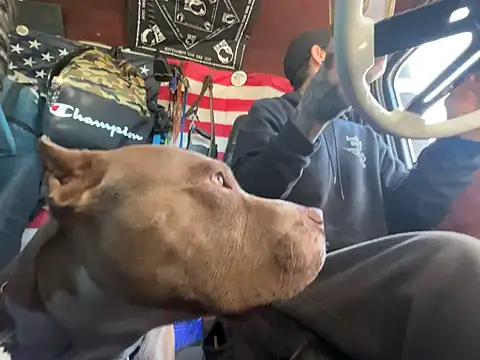 XMeF10 online show from 11-23-25, 03:22