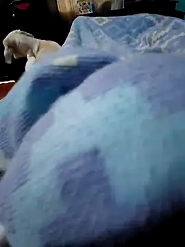 Camilo-31RI online show from 04-03-26, 07:20