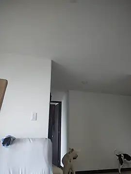 911Calling online show from 02-04-25, 09:41