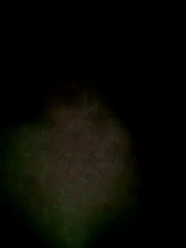 Snapshot of Kasandra02 chatting on 03-01-25, 06:46 Kasandra02 online show from 03-01-25, 06:46