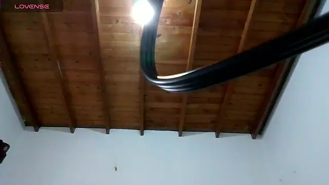 lara honey online show from 02-17-26, 10:07