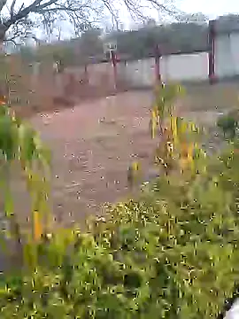 Snapshot of AuntyLover_BhabhiLover_ chatting on 02-06-25, 12:04 AuntyLover BhabhiLover online show from 02-06-25, 12:04