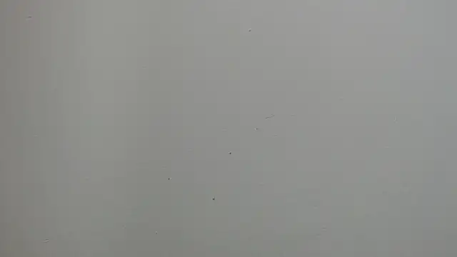 sussy leon online show from 03-18-25, 12:28