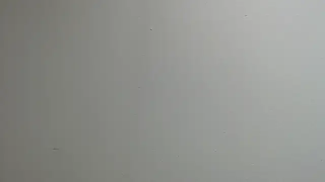 sussy leon online show from 03-13-25, 12:24