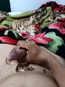 01kirito online show from 02-28-26, 11:04