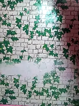 Tamil queensexy online show from 12-20-24, 01:00