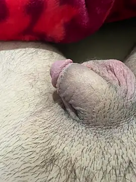 TheArabicGuyx online show from 02-13-26, 09:48