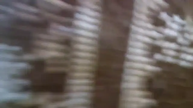 Snapshot of 10Wien11F chatting on 03-02-25, 09:19 10Wien11F online show from 03-02-25, 09:19