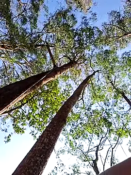 sexyterapy online show from 03-29-26, 06:53