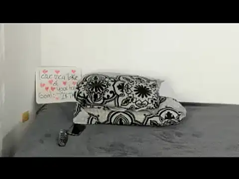 May Dylan1 online show from 11-26-25, 02:22