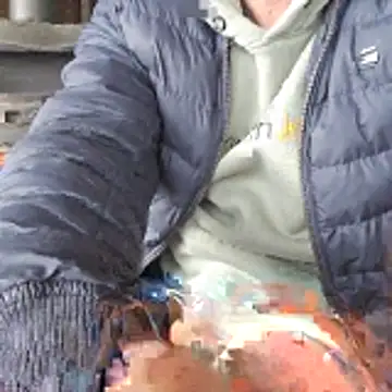 Lumpi1988A online show from 02-19-26, 11:40