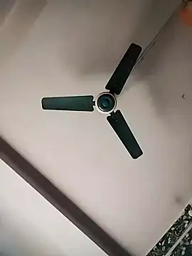  YOUR DREAM FANTASY  online show from 02-16-26, 02:54