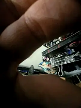 SunnyWild online show from 04-18-26, 12:24