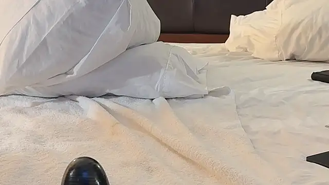 wheresando1 online show from 09-24-25, 01:39