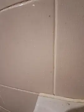 mertbey07 online show from 12-25-24, 07:45