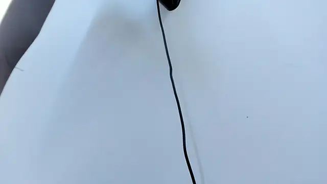 AbigailWilliams  online show from 10-18-25, 11:12