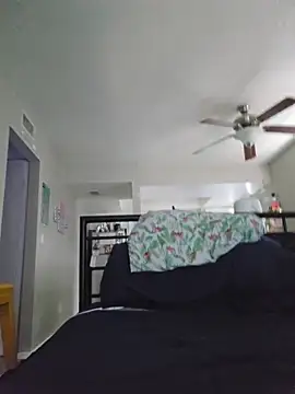 DevilDahm online show from 11-21-25, 08:08