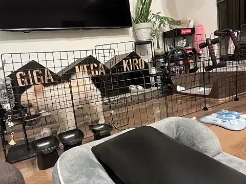 kensnb online show from 11-02-25, 08:03