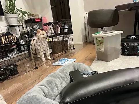 kensnb online show from 11-01-25, 09:14