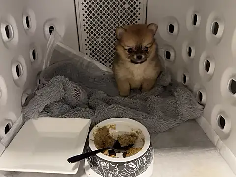 kensnb online show from 12-02-25, 07:37