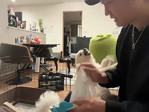 kensnb online show from 11-04-25, 08:51