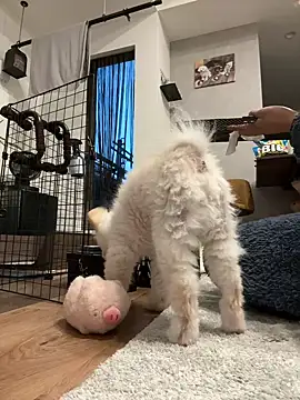 kensnb online show from 03-09-26, 09:07