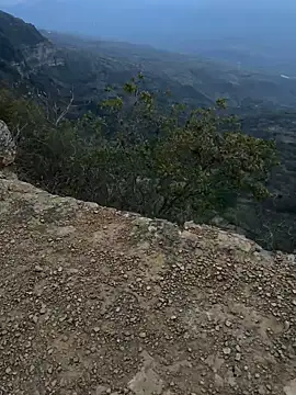 cataafitt online show from 03-05-25, 11:16