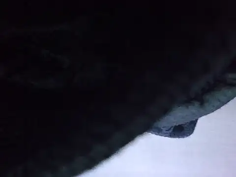 Snapshot of exmilitary chatting on 02-15-26, 12:59 exmilitary online show from 02-15-26, 12:59