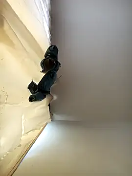 Dilan 1994 online show from 11-21-25, 03:11