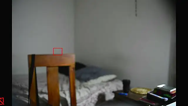 villanocat online show from 02-11-25, 08:05