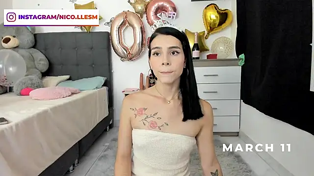 jade dakota   online show from 03-11-25, 11:15