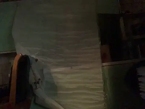 Frankdick01 online show from 10-16-25, 02:42