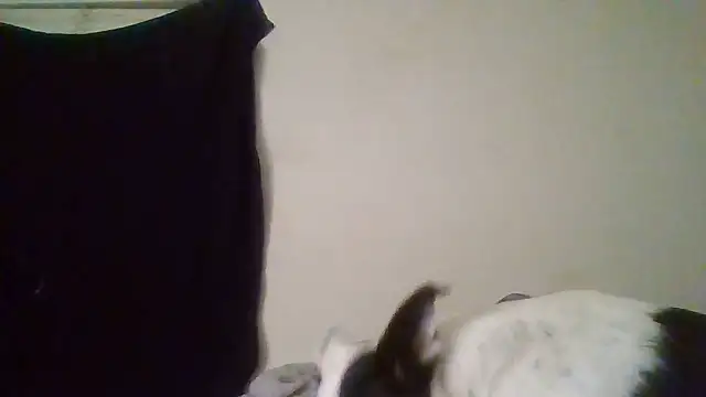 rosequartz online show from 01-14-26, 04:05