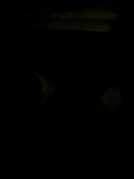 coppiapazza online show from 12-18-25, 11:19