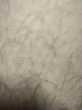 Snapshot of Opsquad12345 chatting on 10-11-25, 02:18 Opsquad12345 online show from 10-11-25, 02:18