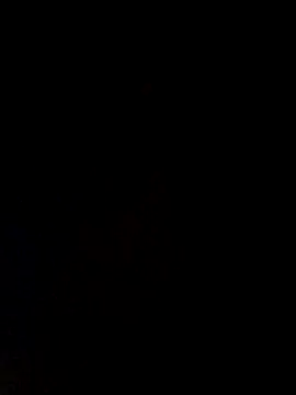 Snapshot of Opsquad12345 chatting on 10-04-25, 05:20 Opsquad12345 online show from 10-04-25, 05:20