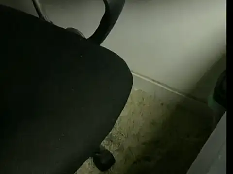 inkjohnrj online show from 04-06-26, 04:46