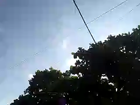 fdvign7 online show from 11-05-25, 09:18