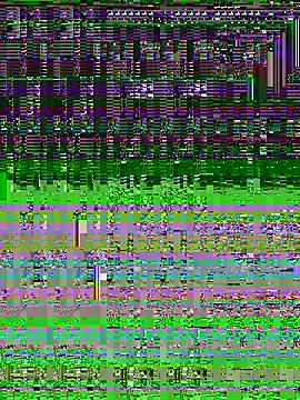 scoatum online show from 04-24-26, 03:41