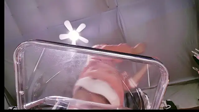 Snapshot of Im_IVE_LOVE chatting on 12-14-24, 05:29 Im IVE LOVE online show from 12-14-24, 05:29