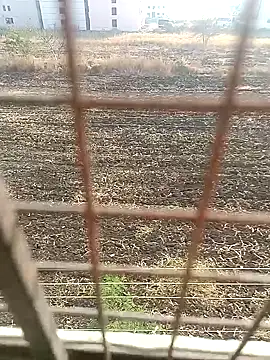 1010SumiT online show from 01-27-25, 03:58