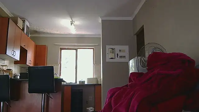 thicktash online show from 11-19-25, 08:36