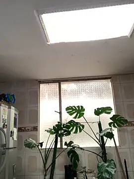 Miss oliviaa online show from 11-26-25, 05:13